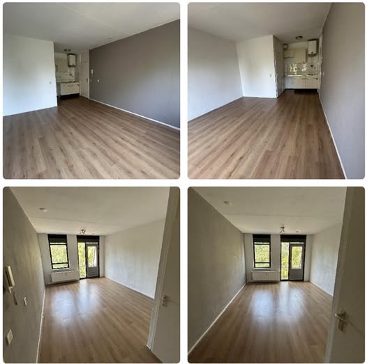 Image accompanying room listing