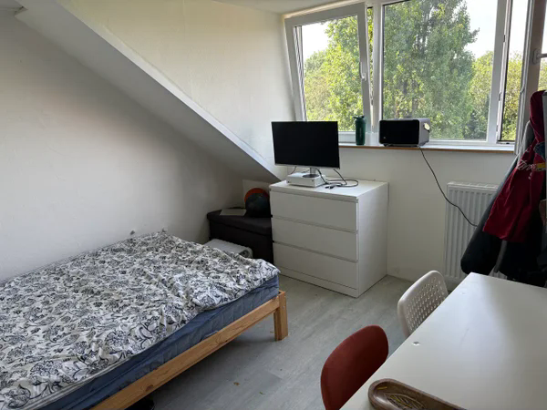 Image accompanying room listing