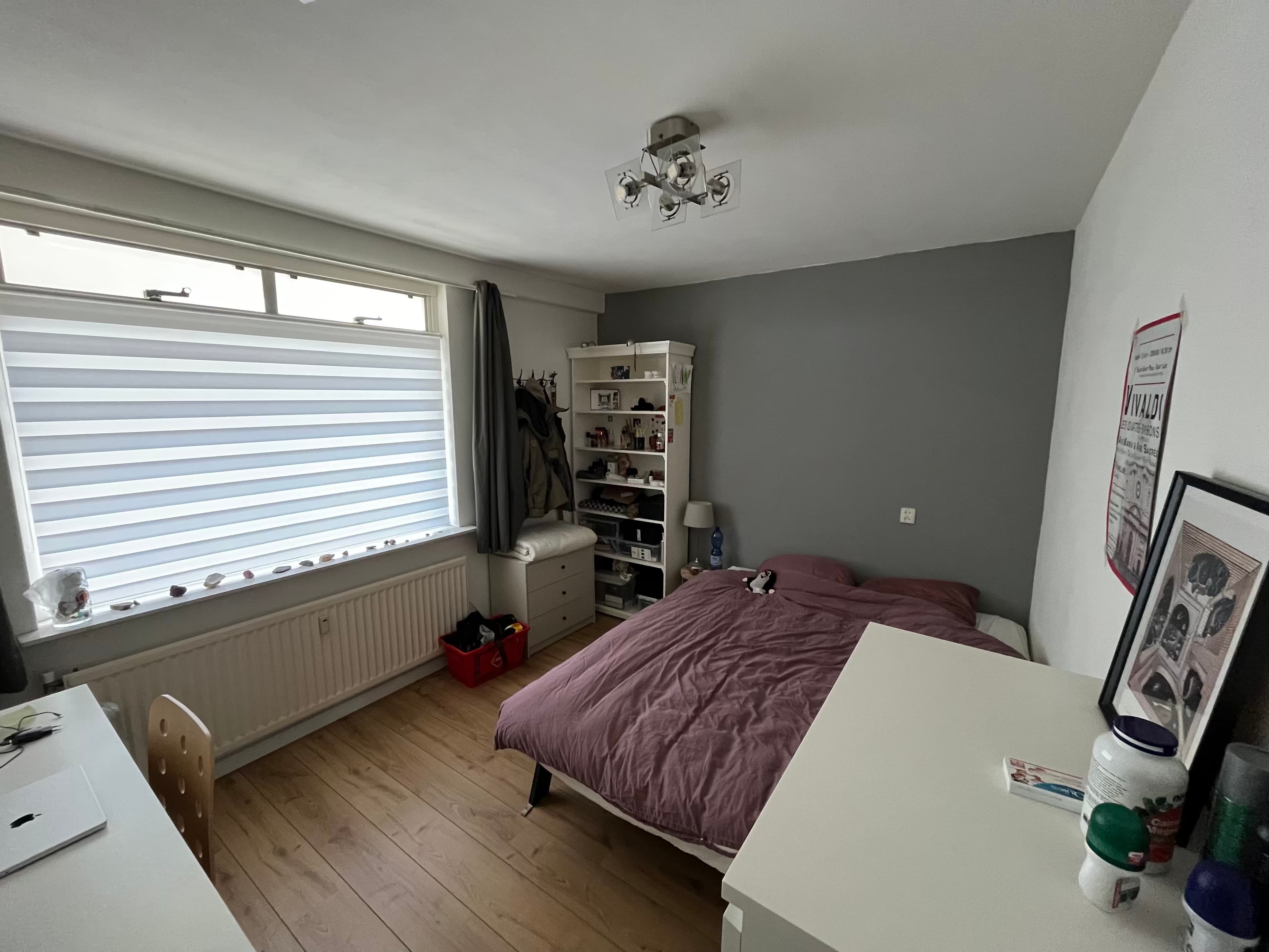 Image accompanying room listing
