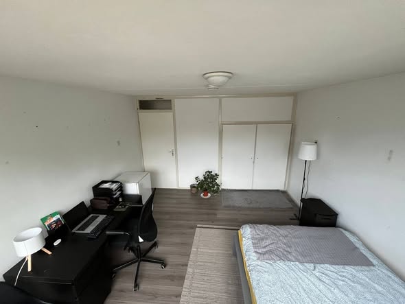 Image accompanying room listing
