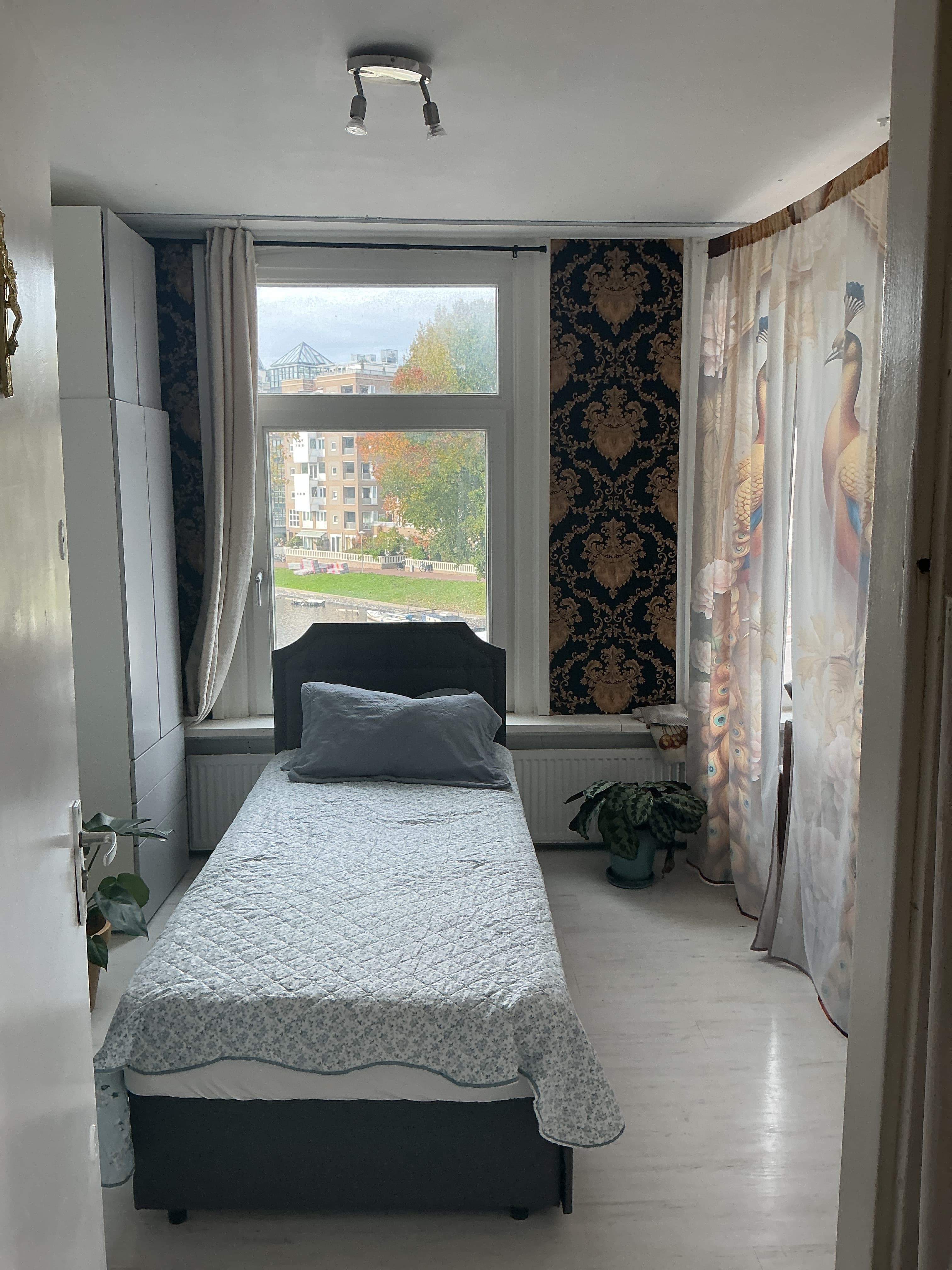 Image accompanying room listing