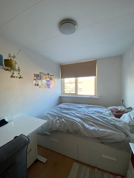 Image accompanying room listing