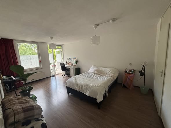 Image accompanying room listing
