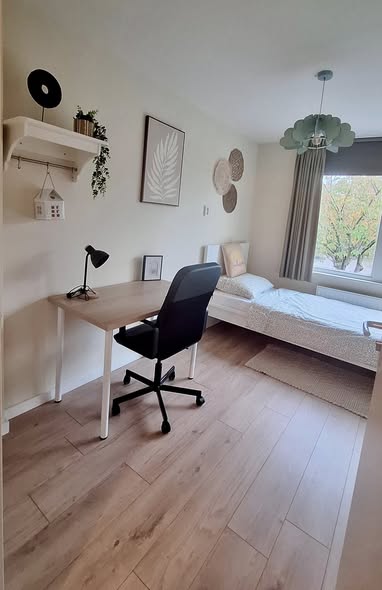 Image accompanying room listing