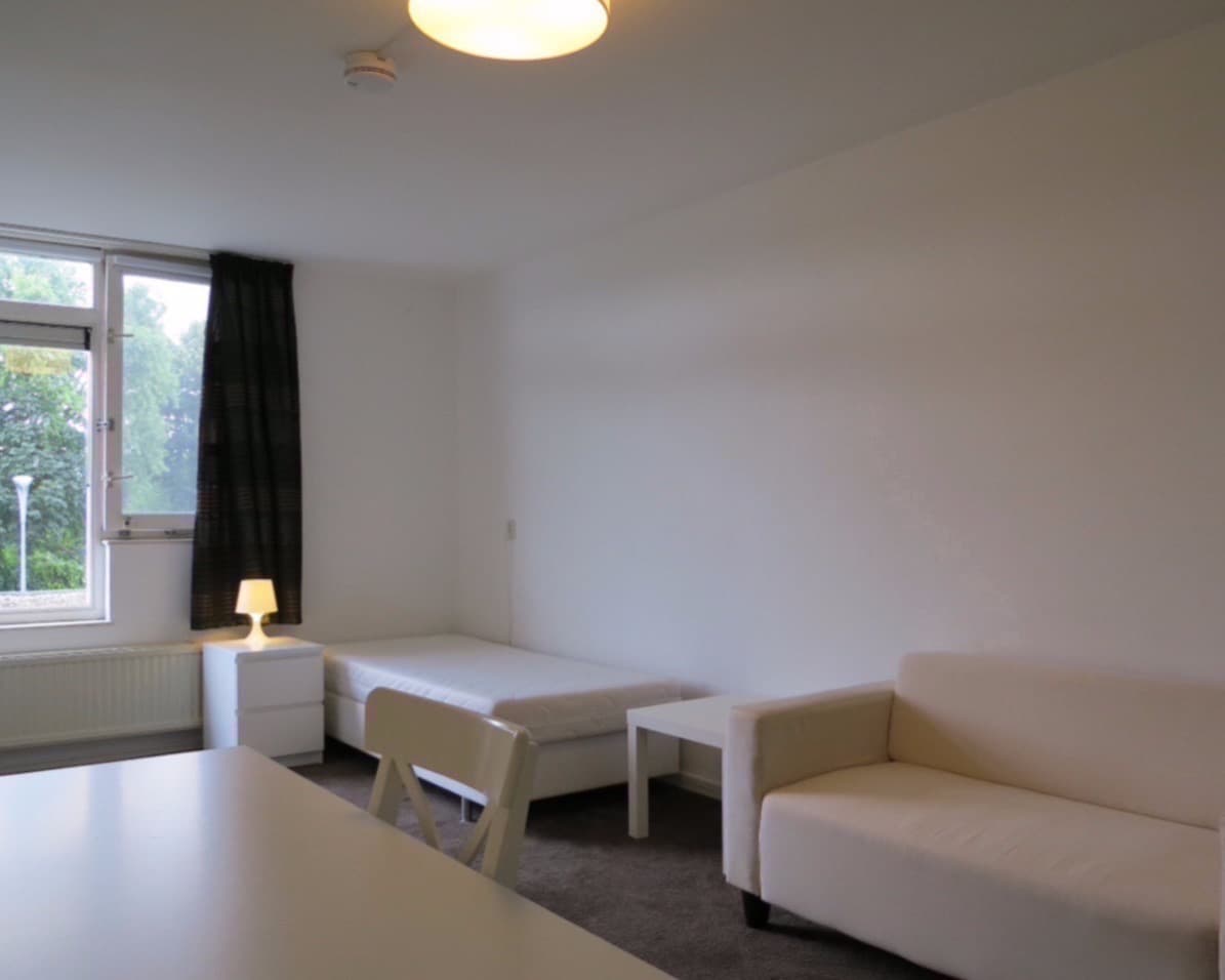 Image accompanying room listing