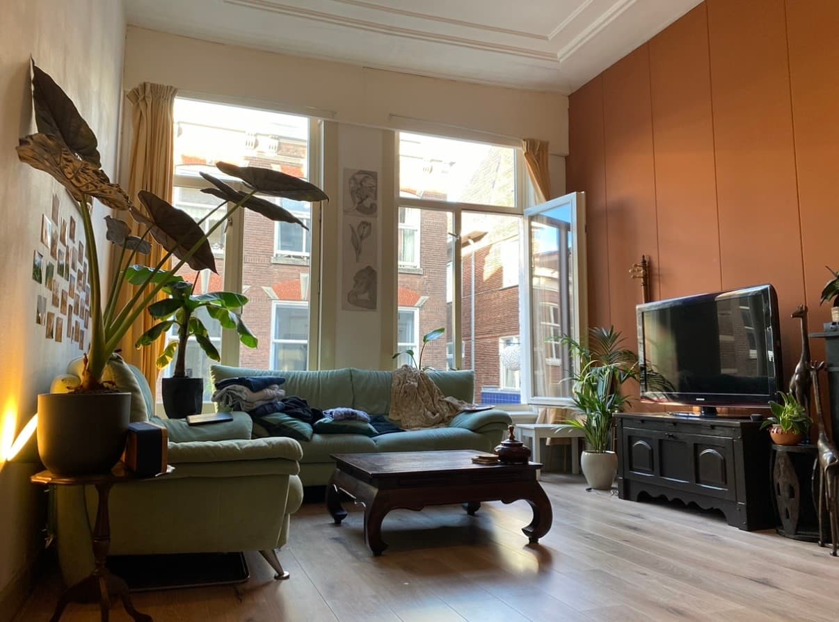 Image accompanying room listing