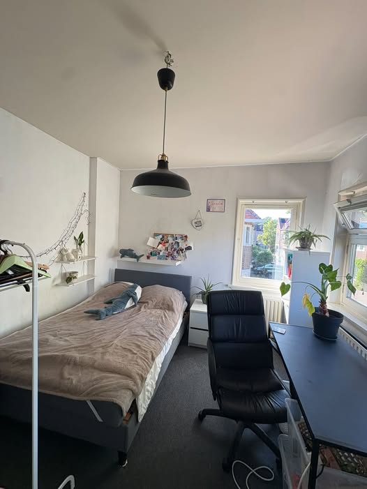 Image accompanying room listing