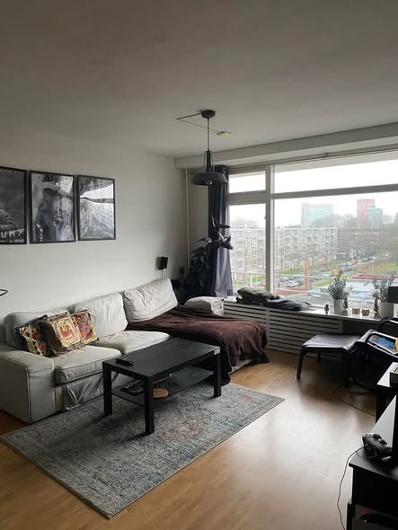 Image accompanying room listing