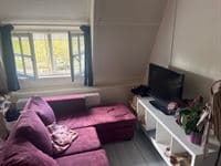 Image accompanying room listing