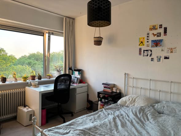 Image accompanying room listing