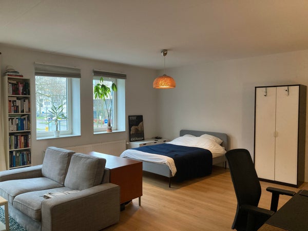 Image accompanying room listing