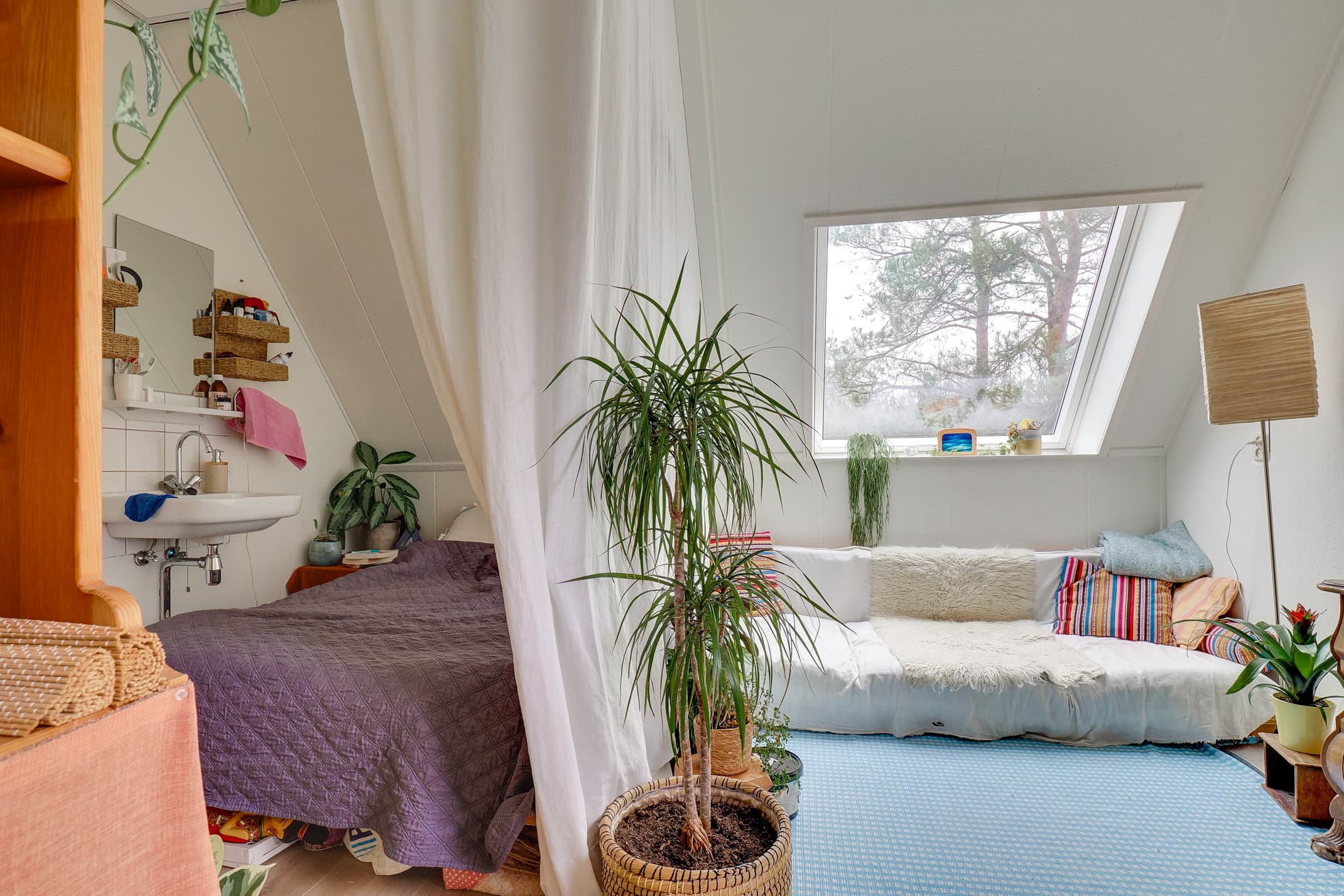 Image accompanying room listing