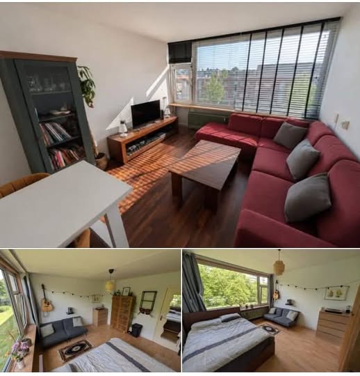 Image accompanying room listing