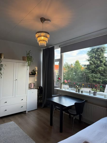 Image accompanying room listing