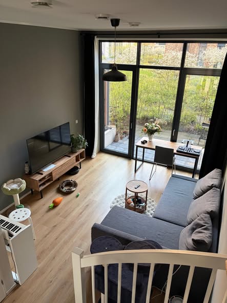 Image accompanying room listing