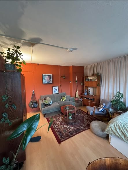 Image accompanying room listing