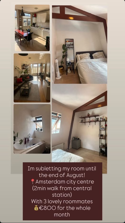 Image accompanying room listing