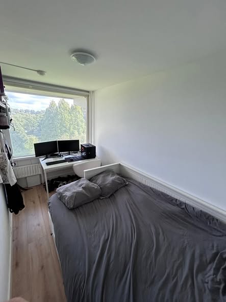 Image accompanying room listing