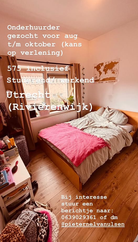 Image accompanying room listing