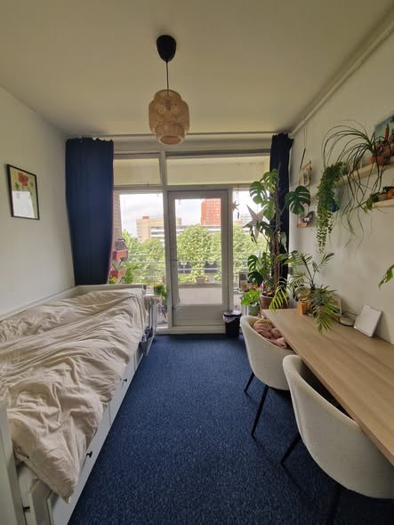 Image accompanying room listing
