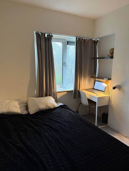 Image accompanying room listing
