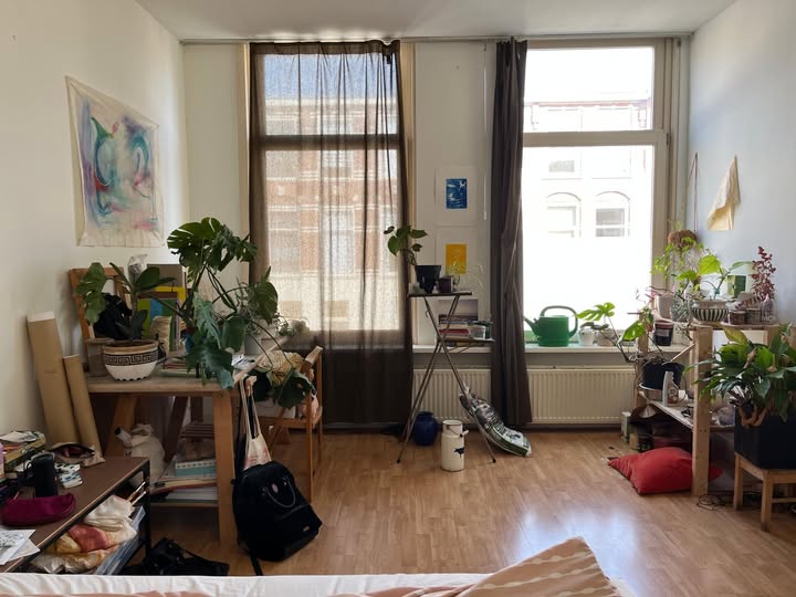 Image accompanying room listing