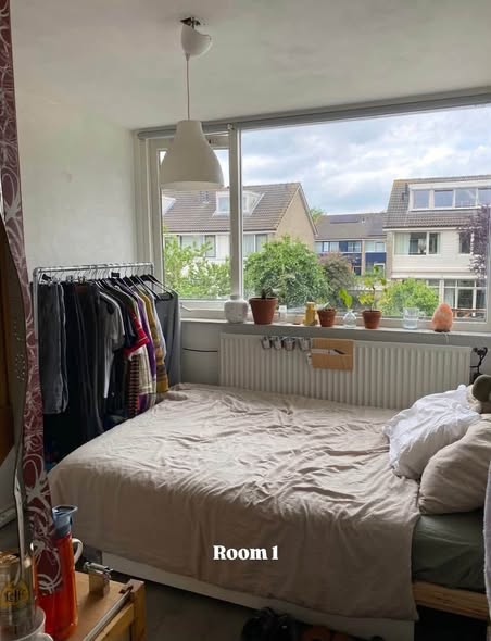 Image accompanying room listing