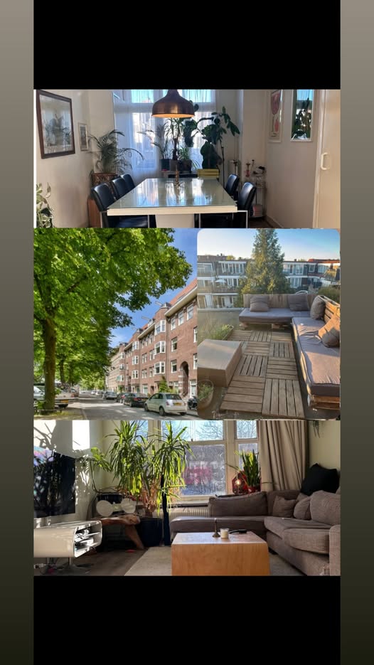Image accompanying room listing