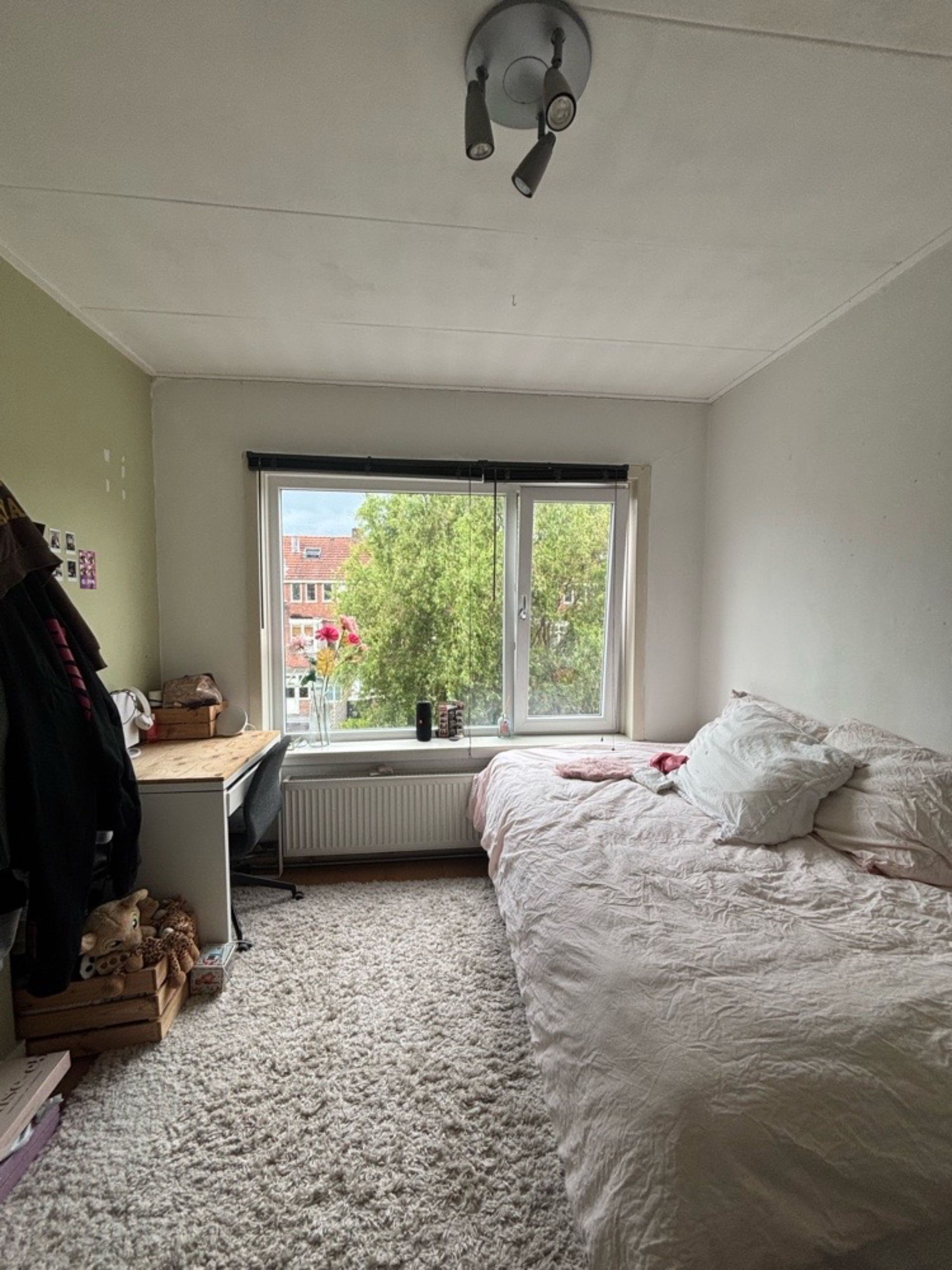 Image accompanying room listing