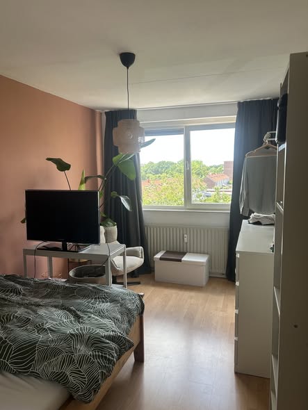 Image accompanying room listing